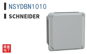 NSYDBN1010