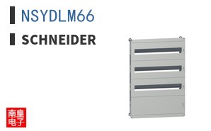 NSYDLM66