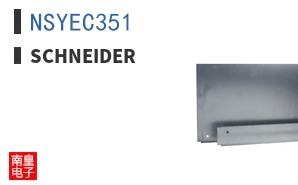 NSYEC351