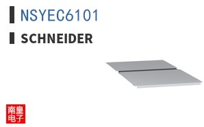 NSYEC6101