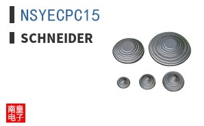 NSYECPC15