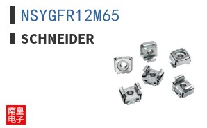 NSYGFR12M65