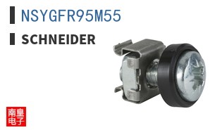NSYGFR95M55