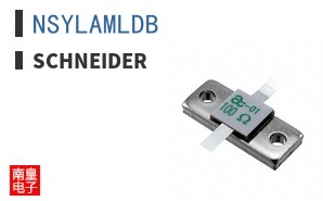 NSYLAMLDB