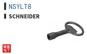 NSYLT8