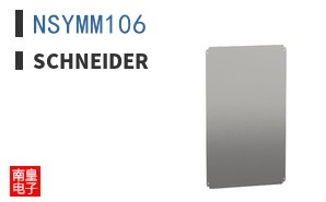 NSYMM106
