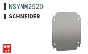 NSYMM2520