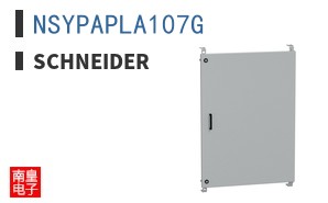 NSYPAPLA107G