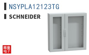 NSYPLA12123TG