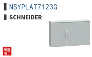 NSYPLAT7123G