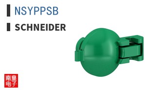 NSYPPSB