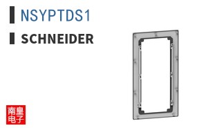 NSYPTDS1