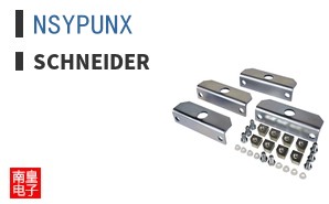NSYPUNX