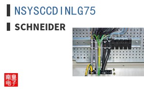 NSYSCCDINLG75