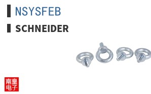 NSYSFEB