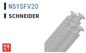 NSYSFV20