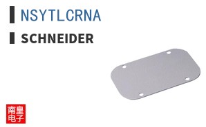 NSYTLCRNA