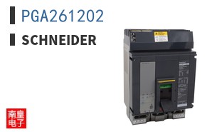 PGA261202