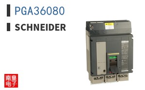 PGA36080