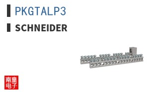 PKGTALP3