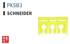 PKSB3