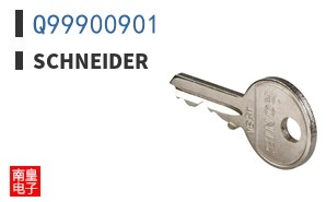 Q99900901