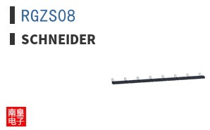 RGZS08
