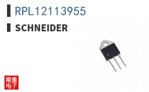 RPL12113955