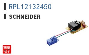 RPL12132450