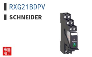 RXG21BDPV