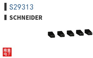 S29313