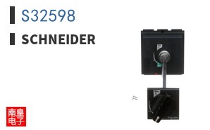 S32598
