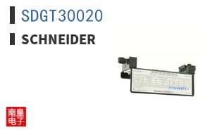 SDGT30020