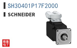 SH30401P17F2000