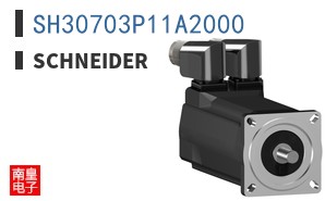 SH30703P11A2000