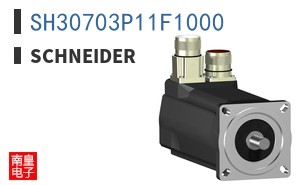 SH30703P11F1000