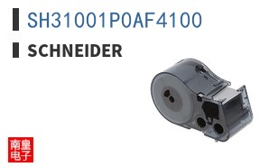SH31001P0AF4100