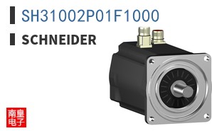 SH31002P01F1000