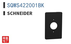 SQWS422001BK