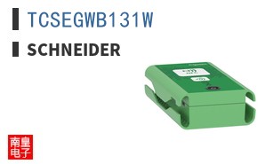 TCSEGWB131W