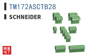 TM172ASCTB28