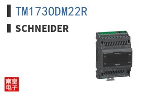 TM173ODM22R