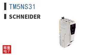 TM5NS31