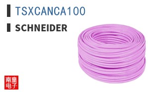 TSXCANCA100
