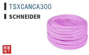 TSXCANCA300