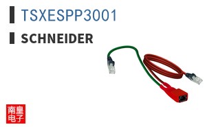 TSXESPP3001