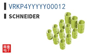 VRKP4YYYYY00012