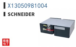 X13050981004