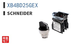 XB4BD25GEX