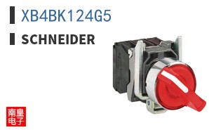 XB4BK124G5